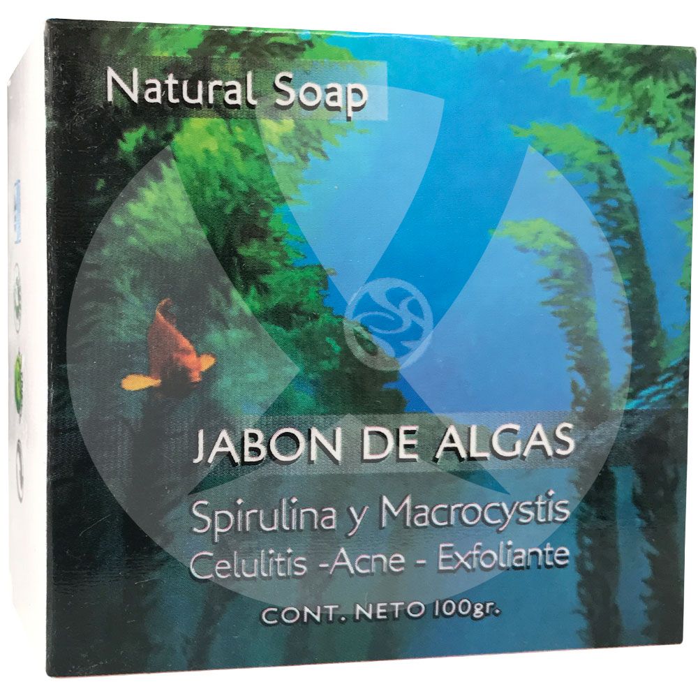Spatagonia jabón de algas x 100 gramos