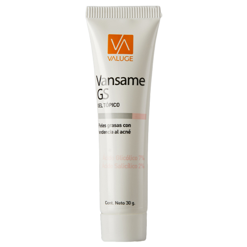 Vansame Gs Gel Pieles Grasas