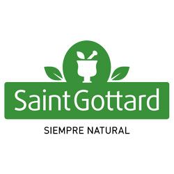 Saint Gottard